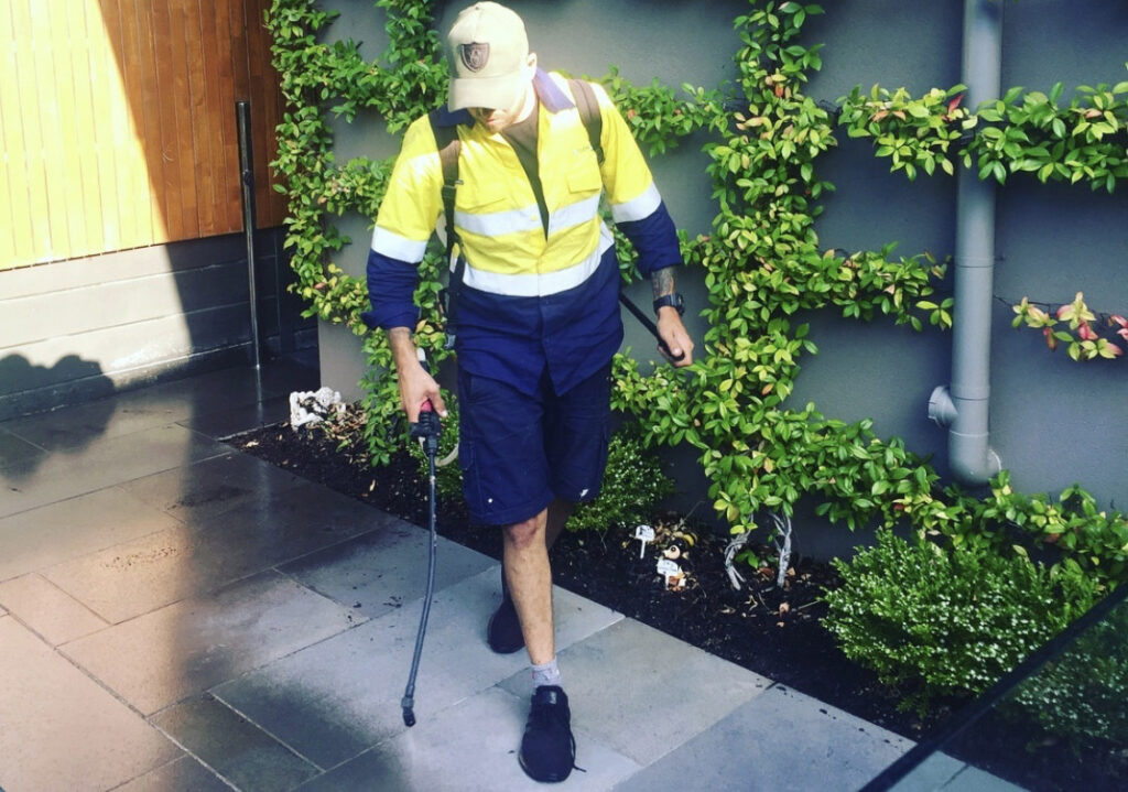 Flagstone Pavers Best Pavers Best Prices Adelaide Pavers